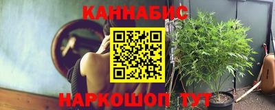 каннабис Ачхой-Мартан