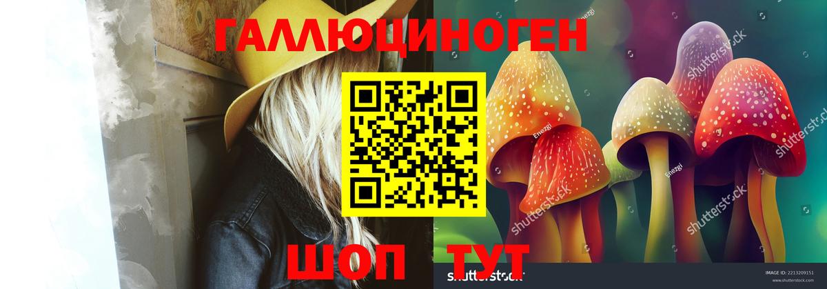 Керчь  Галлюциногенные грибы мухоморы  Псилоцибиновые грибы Psilocybine cubensis  Вход с VPN 